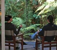 Rainforest View